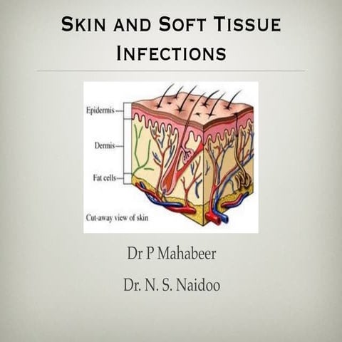 Slit skin smears | PPTX