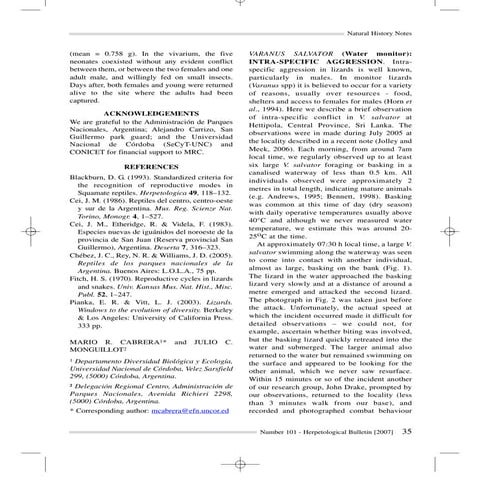 57; combat behaviour in varanus salvator (natural history note)