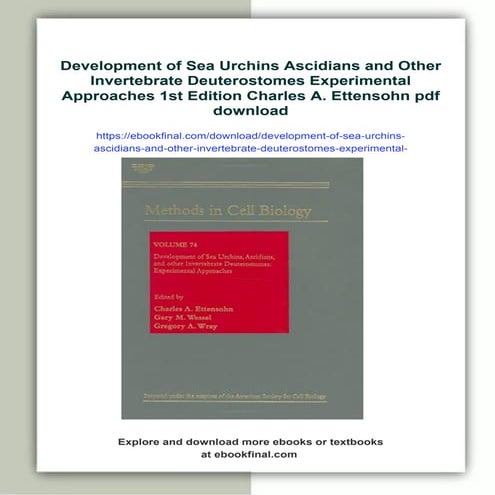 Development of Sea Urchins Ascidians and Other Invertebrate ...