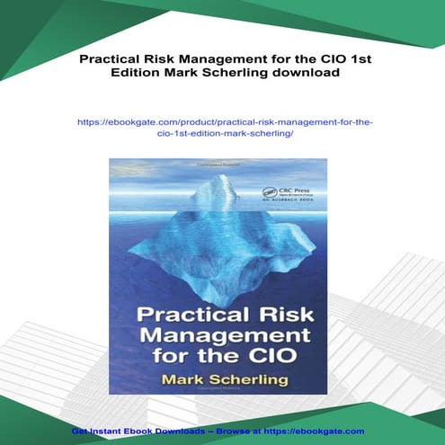 Practical Risk Management for the CIO 1st Edition Mark Scherling | PDF