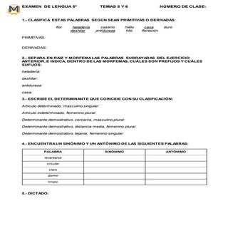 Examen de Lengua temas 5 y 6