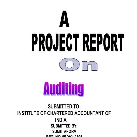 58324715 project-on-auditing
