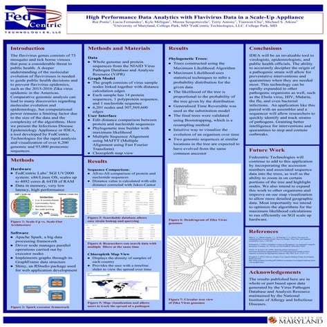 Virus Analytics Poster