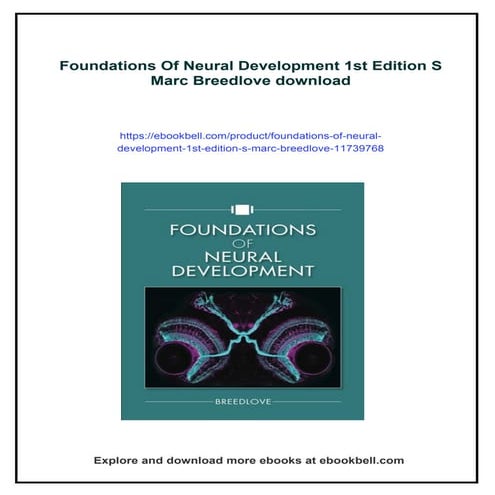 Foundations Of Neural Development 1st Edition S Marc Breedlove | PDF