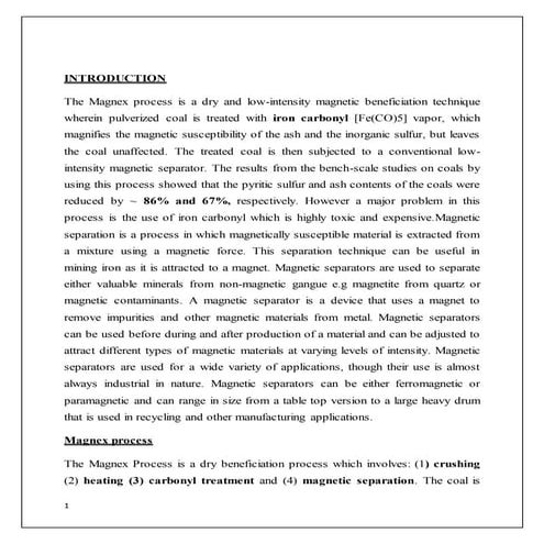 Magnex process | DOCX