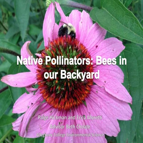 NATIVE POLLINATOR PRESENTATION FOR ACROSS
