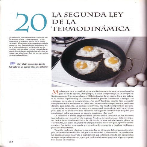 Capitulo 20 Sears Pdf