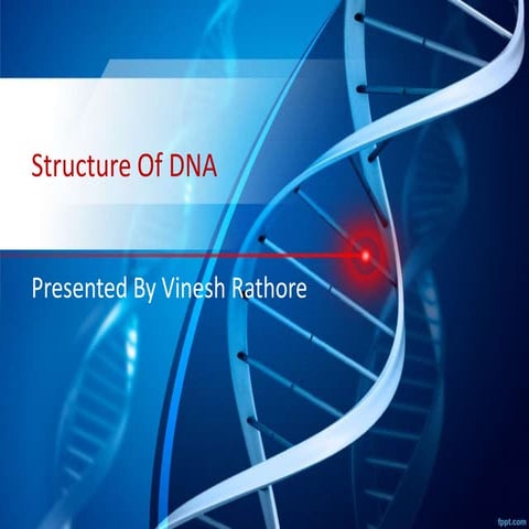 Structure Of DNA | PPTX