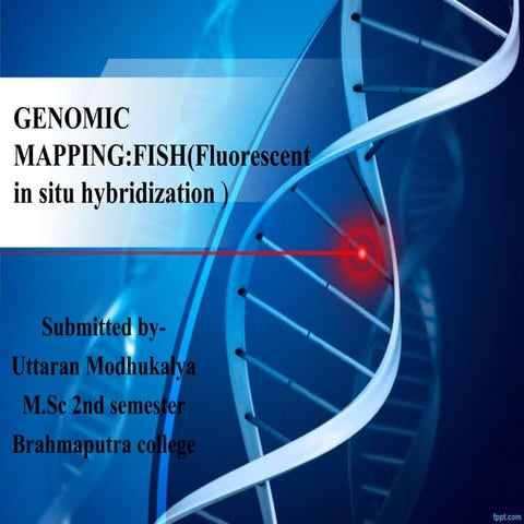 GENOMIC MAPPING:FISH(Fluorescent in situ hybridization )