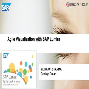 agile_visualization_with_sap_lumira-Rajat_sharma