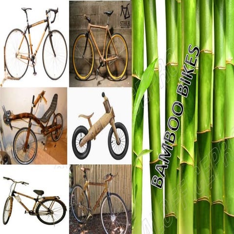 BAMBOO BIKES