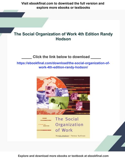 The Social Organization of Work 4th Edition Randy Hodson