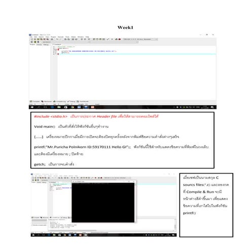นางสาวภูริชา พลนิกร-59170111-กลุ่ม1-งานเดี่ยว