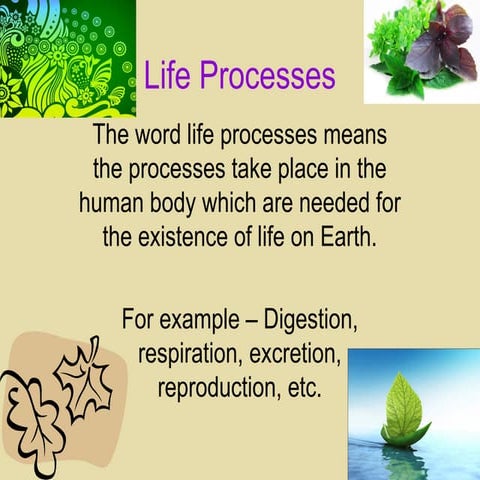 Life processes | PPT