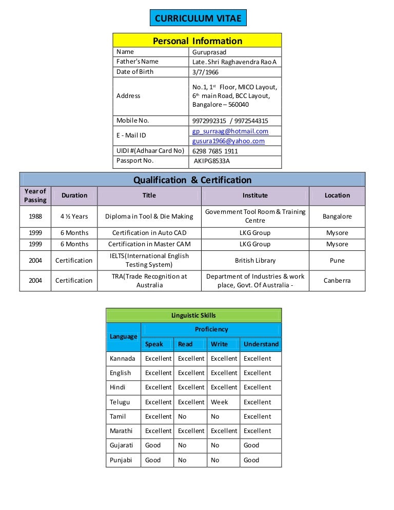 Simple curriculum vitae examples picture