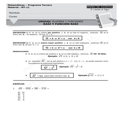 RAIZ Y FUNCION RAIZ | PDF