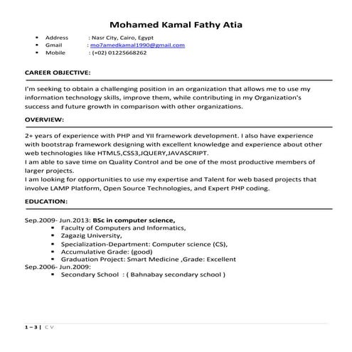 Mohamed Kamal's CV