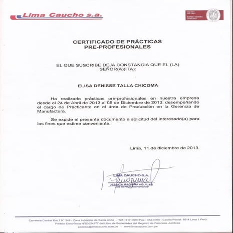 Professional Experience 002