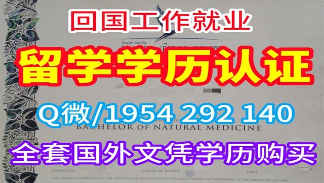 英国普利茅斯大学毕业证书样本图