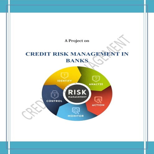 A report on Credit Risk Management in Banks