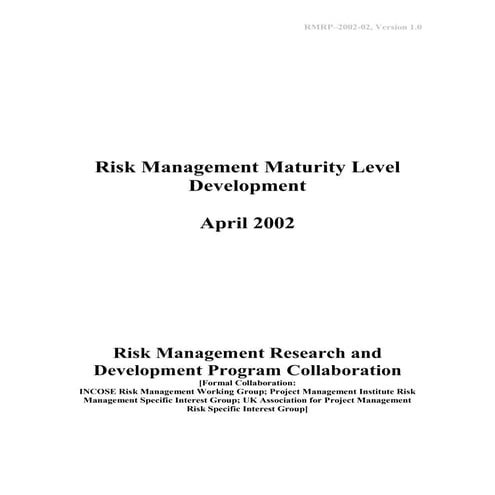 RM Maturity Level Development 2002