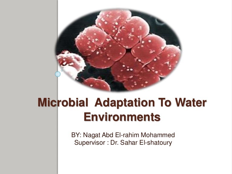 Microbial Adaptation To Water Environments