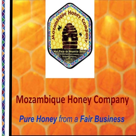 MHC_Presentation (EN)