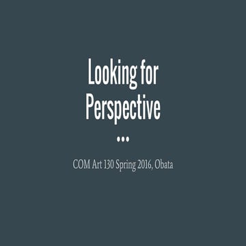 Looking for Perspective