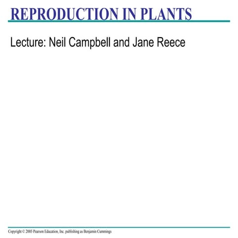 angiosperm reproduction and biotechnology