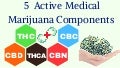 5 Active Medical Marijuana Components