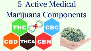5 Active Medical Marijuana Components