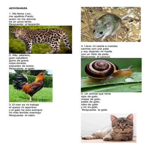 5 adivinanzas 5 chistes 5 poemas 5 coplas 5 piropos