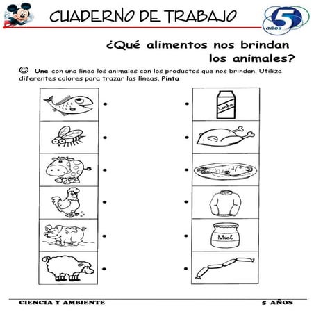 Cuaderno de Trabajo III - 5 Años Ciencia y Ambiente