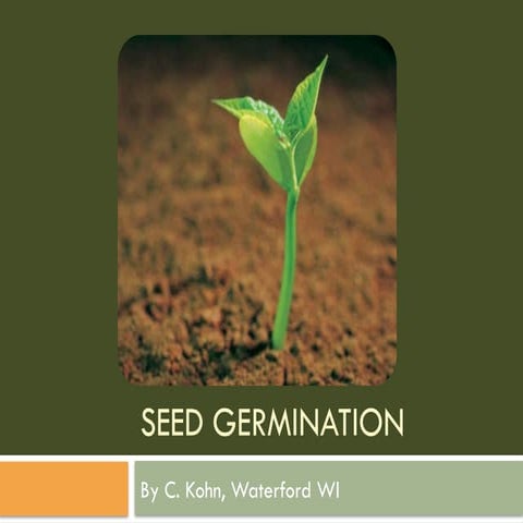 5ASeedGermination presentation of agrciculture