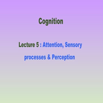 SENSORY NEEDS B.SC. NURSING SEMESTER II. | PPTX