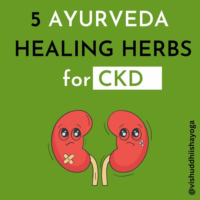 5 Ayurveda herbs to Cure Kidney Disease.pdf