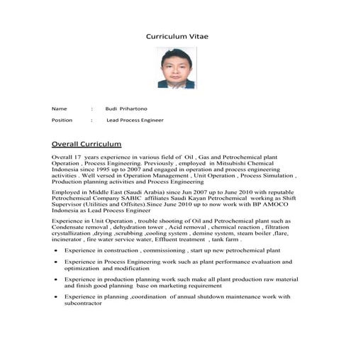 Curriculum Vitae BDP(rev)