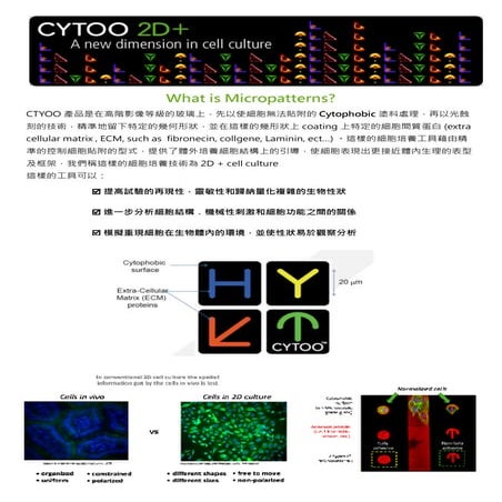 刊2013Q405-CYTOO專刊(確定版)