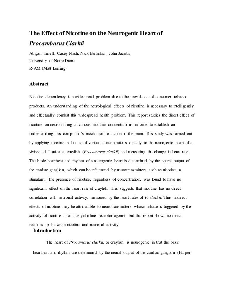 Crayfish london image