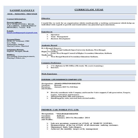 SANDIP CV | DOCX