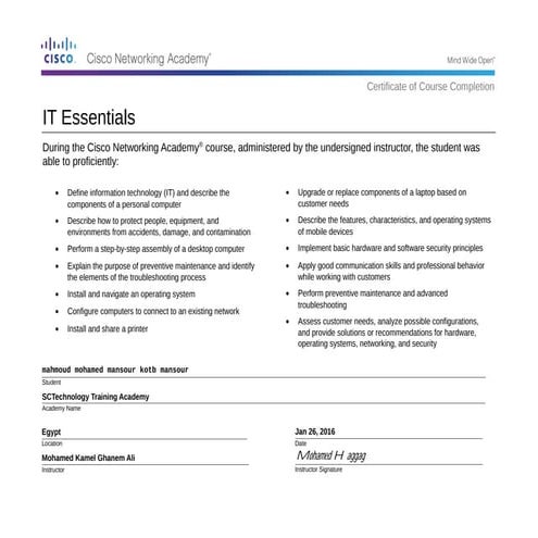 IT-Essential | PDF