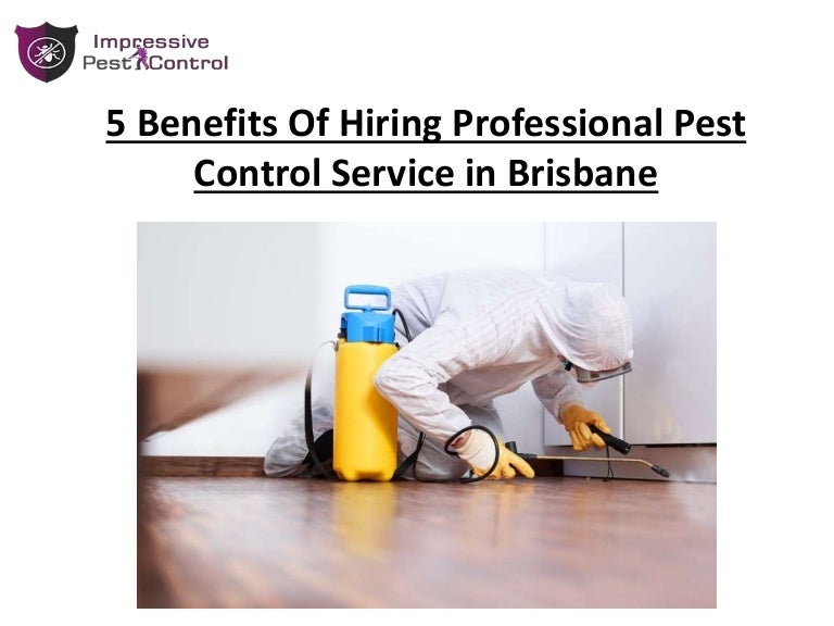 benefits of hiring professional pest control services