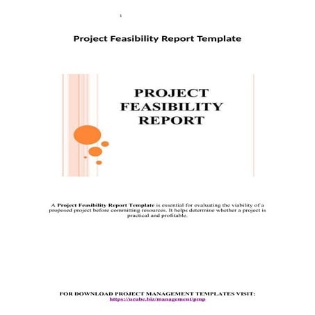 Project Dashboard Template - Guide 2024.docx