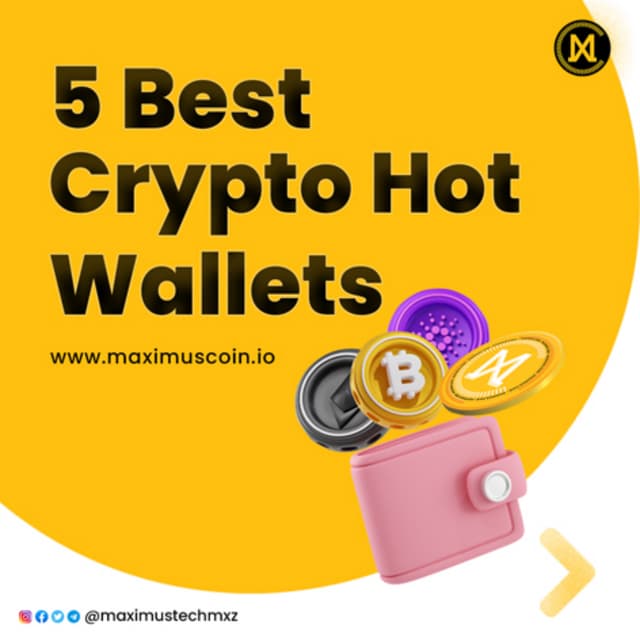 5 best Crypto hot wallets PDF
