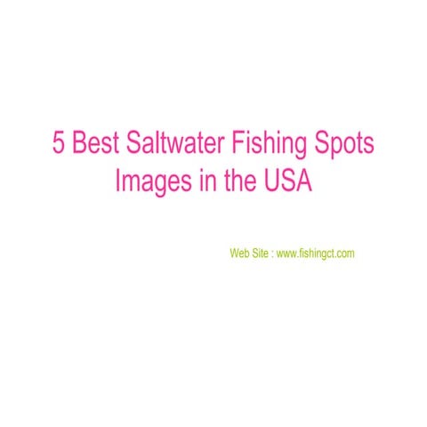 5 best saltwater fishing spots images in the usa | PPT