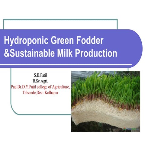 PPT-Hydroponic Green Fodder 1 - Copy