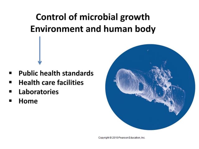 5 bio265 antimicrobial agents instructor dr di bonaventura   copy (1)