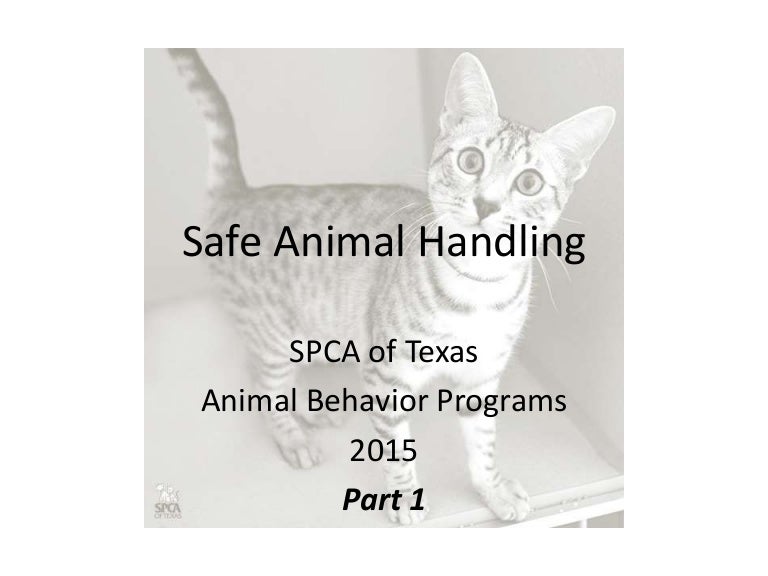 Safe Animal Handling Part 1