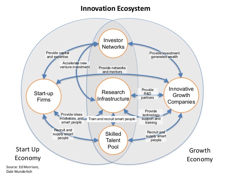 Innovation Ecosystem Mapping _ How To Do Ecosystem Mapping (With ...