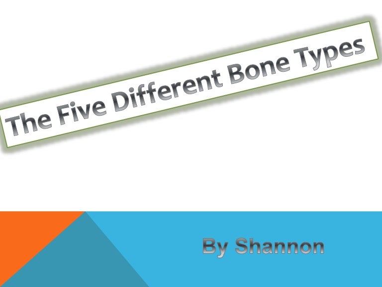5 bone types
